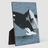 Orka Wal Fotoplatte (Seite)