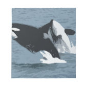 Orka Wal Notizblock (Vorderseite)