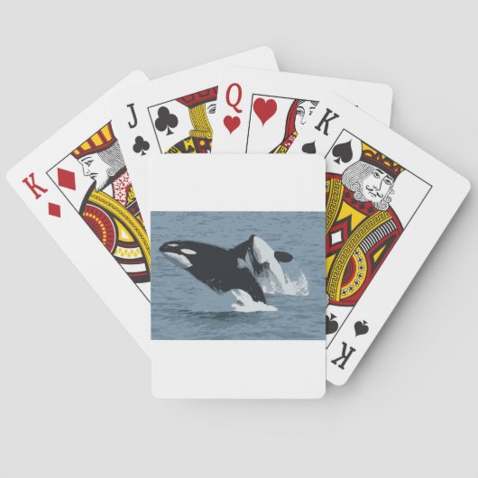 Orka Wal Spielkarten (Rückseite)