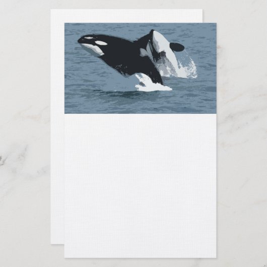 Orka Whale Briefpapier (Vorne/Hinten)