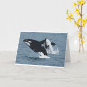 Orka Whale Karte (Gelbe Blume)