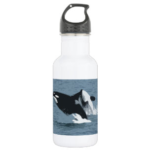 Orka Whale Trinkflasche