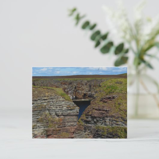Orkney Cliffs Postkarte (Stehend Vorderseite)