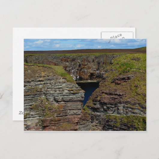 Orkney Cliffs Postkarte (Vorne/Hinten)