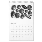 Orkney-Inspirierter Kalender (Haunted‑Ink Edition) (Mär 2027)