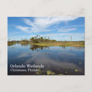 Orlando-Feuchtgebietspostkarte, Christmas, Florida Postkarte