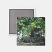 Orlando Florida Magnet (Vorderseite/Rückseite)