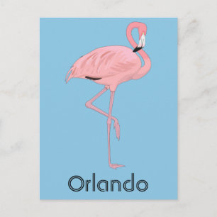 Orlando Florida Rosa Flamingo Postkarte