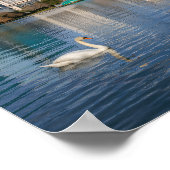 Orlando Florida Skyline Lake Eola Rainbow & Swans Poster (Ecke)