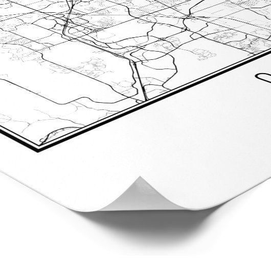 Orlando Florida Street Map Poster (Ecke)