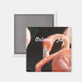 Orlando Magnet (Vorderseite/Rückseite)