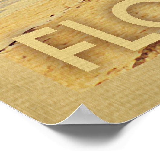 Orlando Palm Tree Poster (Ecke)