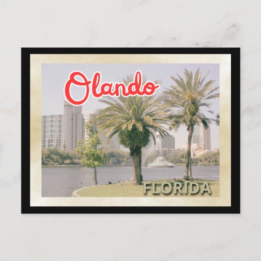 Orlando Palm Tree Postkarte (Vorderseite)