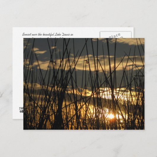 Orlando Sunset Postkarte (Vorne/Hinten)