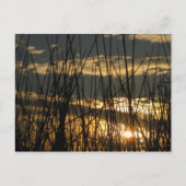 Orlando Sunset Postkarte (Vorderseite)