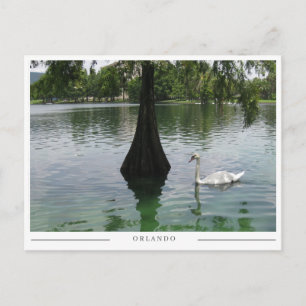 Orlando Swan - Park Lake in Florida wird zu Postkarte