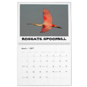 ORLANDO WETLANDS CALENDAR KALENDER (Mär 2027)