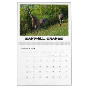 ORLANDO WETLANDS CALENDAR KALENDER (Jan 2026)