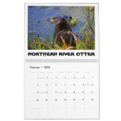 ORLANDO WETLANDS CALENDAR KALENDER (Feb 2026)