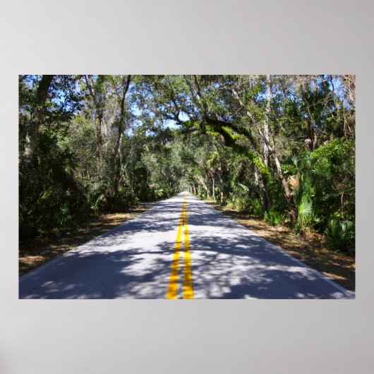 Ormond Beach Loop Poster (Vorne)