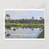 Ormond Landschaftlich Loop and Trail Postkarte (Vorderseite)