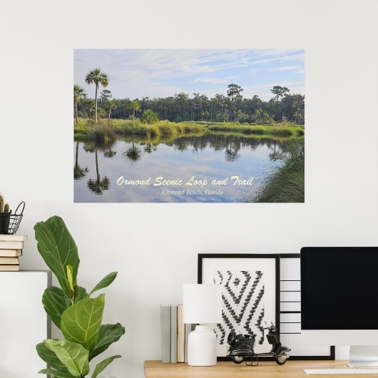 Ormond Landschaftlich Loop Poster (Heimbüro)