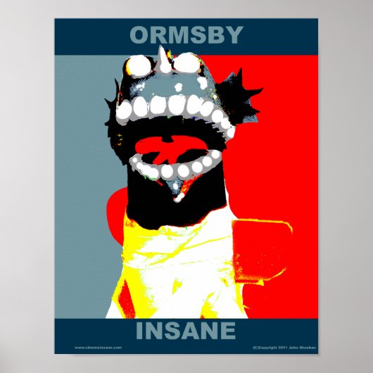Ormsby Campaign Style Poster (Vorne)