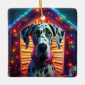 Ornament (Vorderseite)