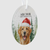 Ornament (Vorderseite)