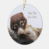 Ornament: Coatimundi #4 (Kreis) Keramikornament (Links)