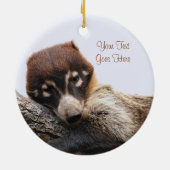 Ornament: Coatimundi #4 (Kreis) Keramikornament (Hinten)