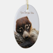 Ornament: Coatimundi #4 (Oval) Keramikornament (Rechts)