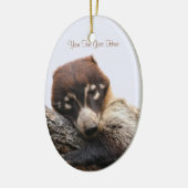 Ornament: Coatimundi #4 (Oval) Keramikornament (Links)
