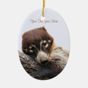 Ornament: Coatimundi #4 (Oval) Keramikornament