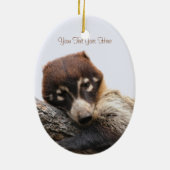 Ornament: Coatimundi #4 (Oval) Keramikornament (Hinten)
