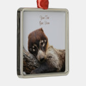 Ornament: Coatimundi #4 (Premium Square) Ornament Aus Metall (Rechts)