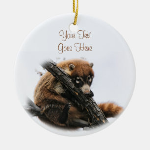 Ornament: Coatimundi #5 (Kreis) Keramikornament
