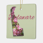 Ornament - DELAWARE (Links)