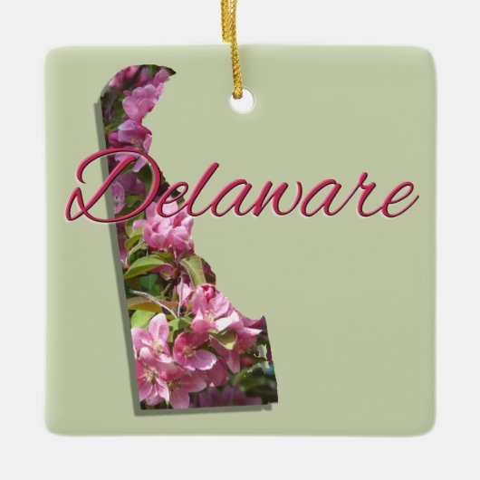 Ornament - DELAWARE (Vorderseite)