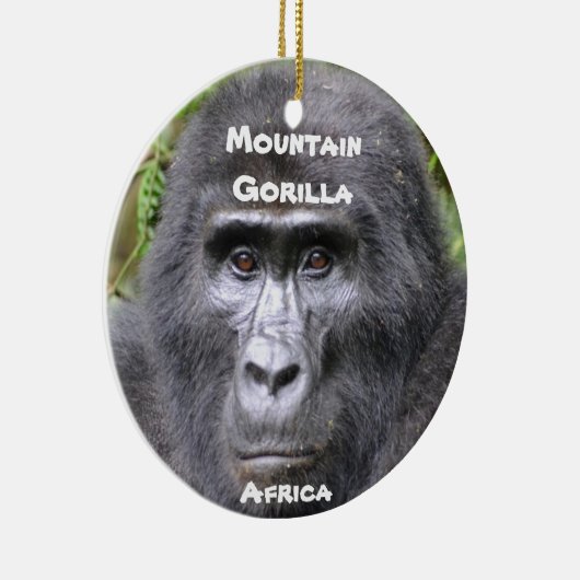 Ornament der gefährdeten Arten (Rechts)