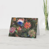 Ornament der polnischen Sterne Feiertagskarte (Rückseite)