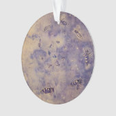 Ornament der Weltraumbienen (Vorderseite)