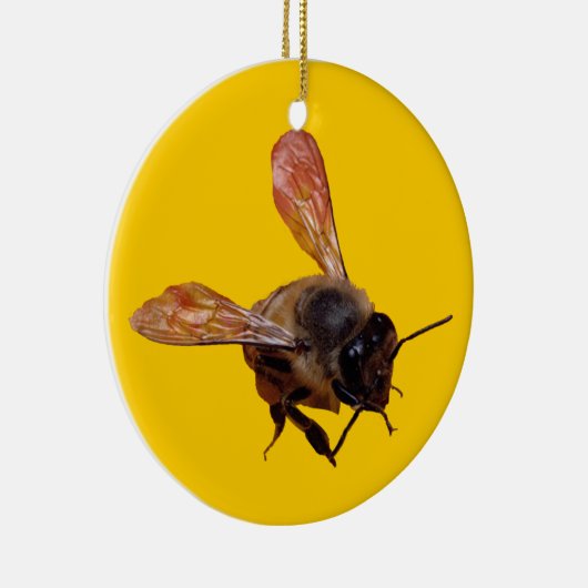 Ornament - Honigbiene (Rechts)