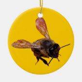 Ornament - Honigbiene (Vorne)