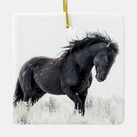 Ornament "Ice Dancer" (Vorderseite)