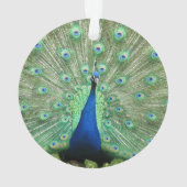Ornament - Pfau (Rückseite)