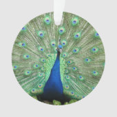 Ornament - Pfau (Vorderseite)