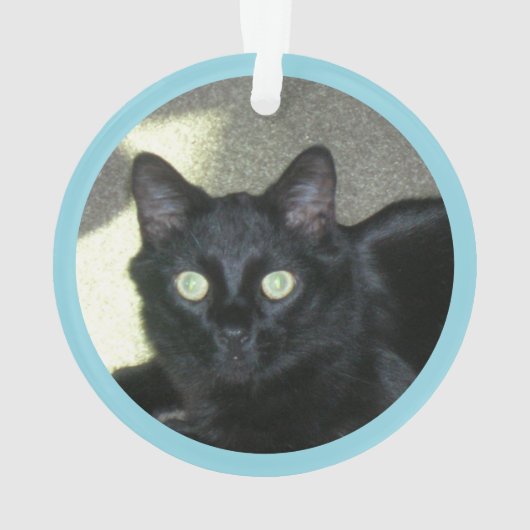 Ornament - Polydactyl Paw Prints and Photo (Rückseite)