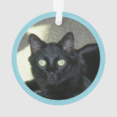 Ornament - Polydactyl-Pfotenabdrücke und Foto (Rückseite)