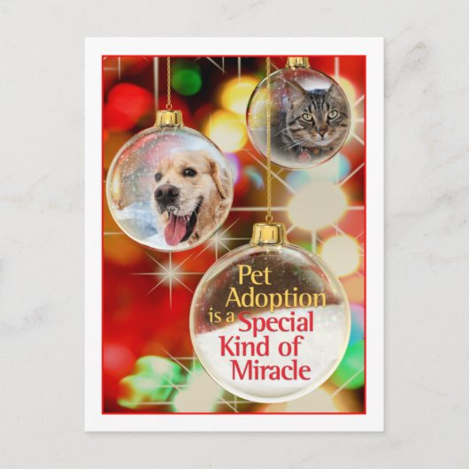 Ornament Postkarte (Vorderseite)